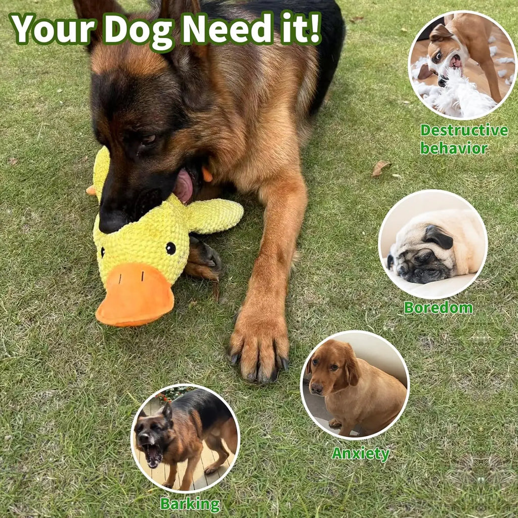 Plush Squeaky Dog Toy | Duck, Bone & Carrot Designs