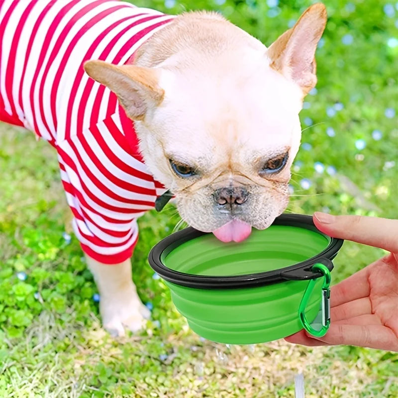 Collapsible Travel Pet Bowl ⭐