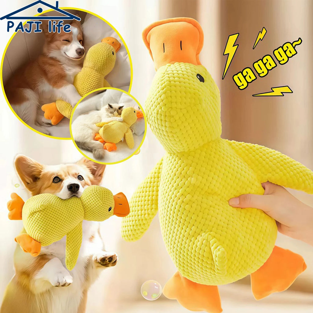 Plush Squeaky Dog Toy | Duck, Bone & Carrot Designs