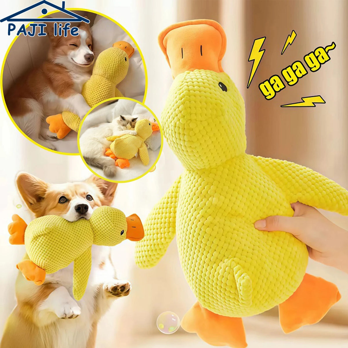 Plush Squeaky Dog Toy | Duck, Bone & Carrot Designs