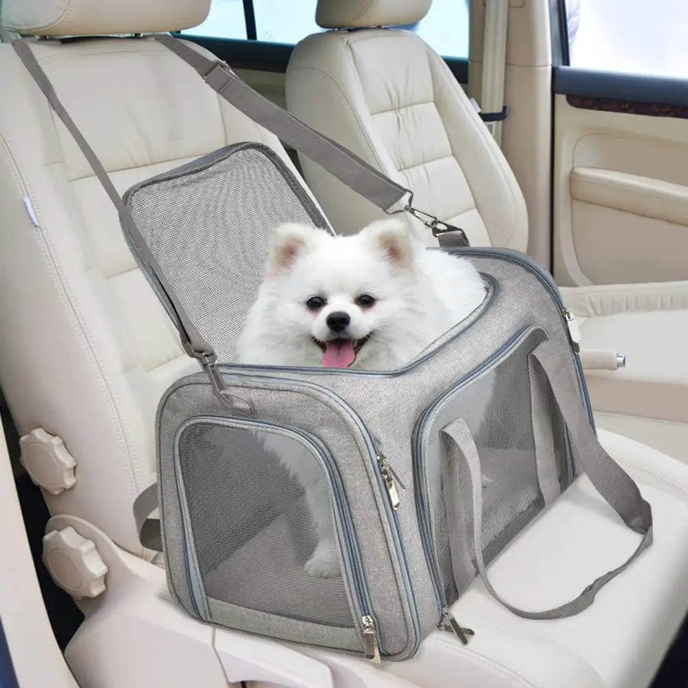 Soft-Sided Dog & Cat Travel Carrier Bag