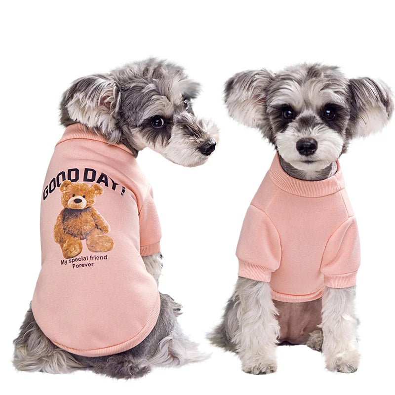 Cute Bear Winter Jacket for Dogs & Cats