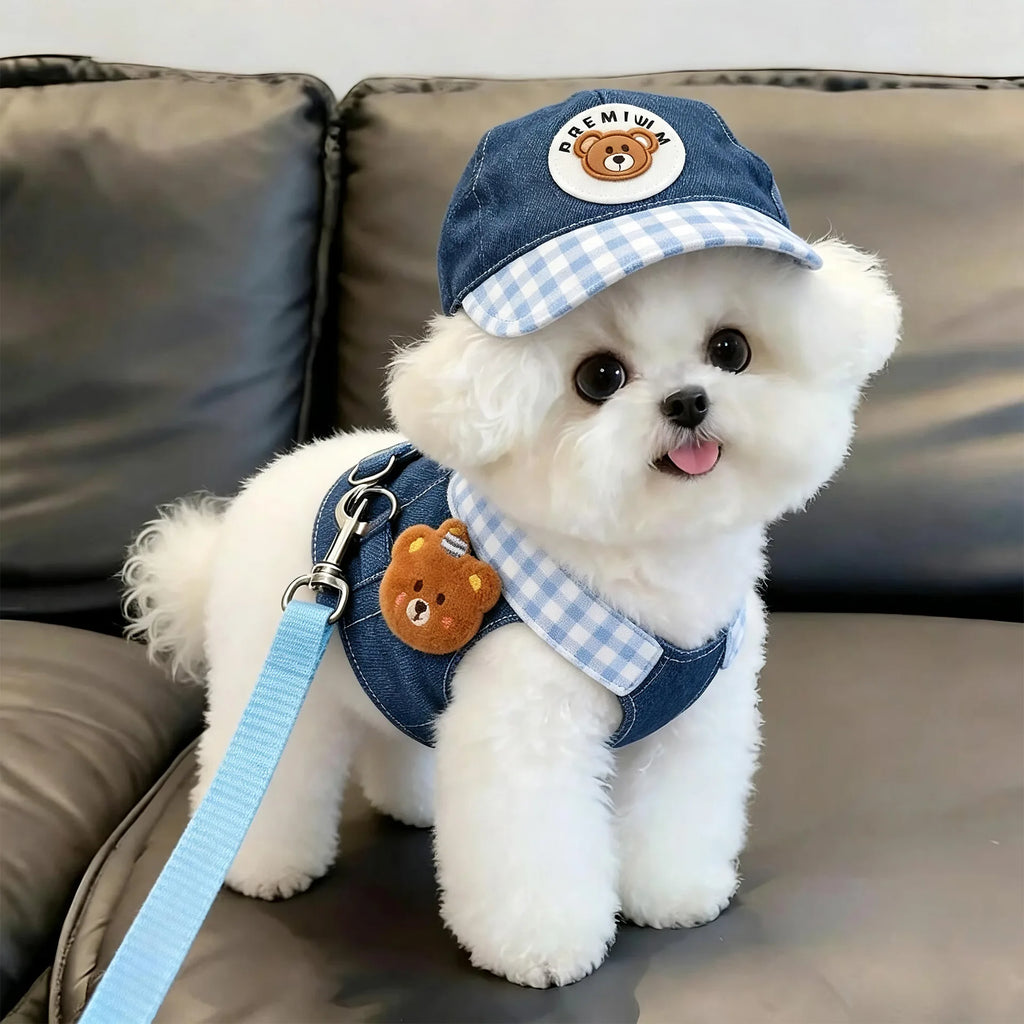 Denim Dog Harness Set with Sun Hat
