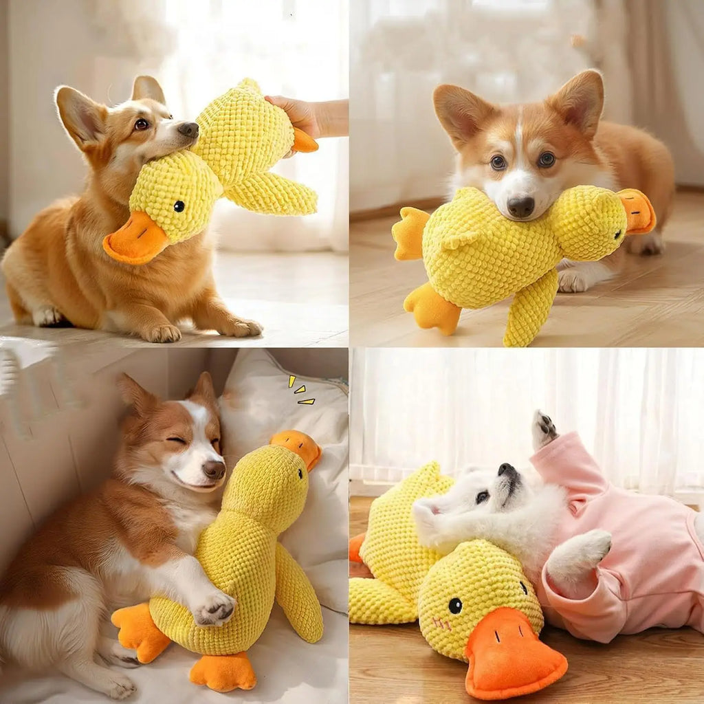 Plush Squeaky Dog Toy | Duck, Bone & Carrot Designs