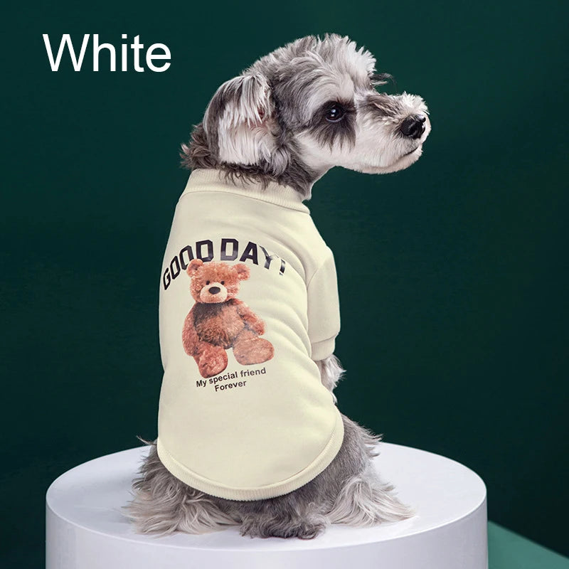 Cute Bear Winter Jacket for Dogs & Cats