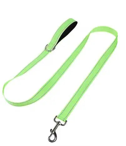 Reflective Nylon Dog & Cat Walking Leash