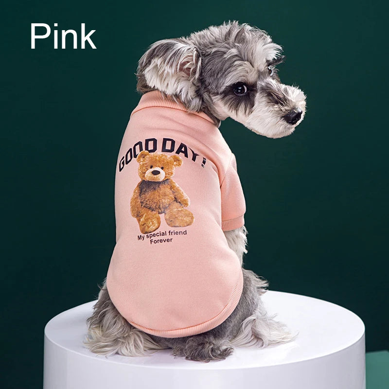 Cute Bear Winter Jacket for Dogs & Cats