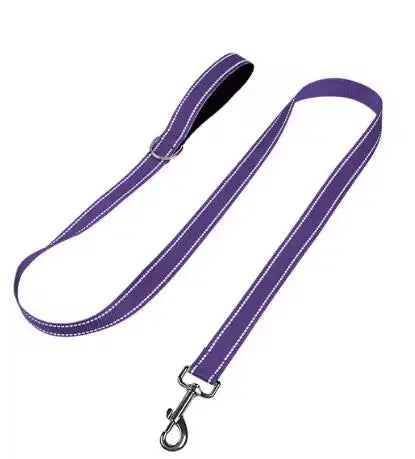 Reflective Nylon Dog & Cat Walking Leash