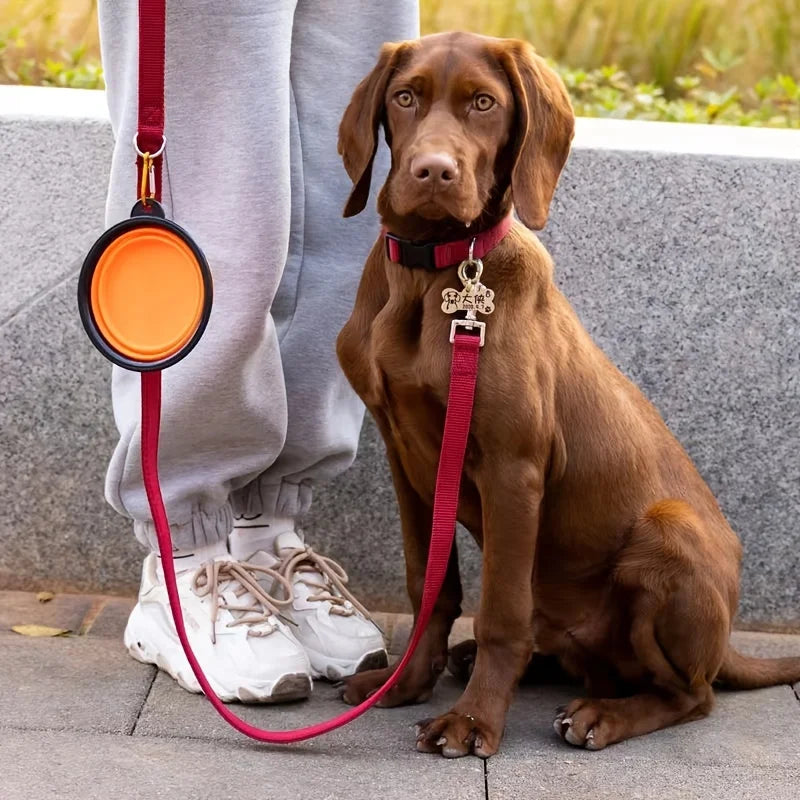 Collapsible Travel Pet Bowl ⭐
