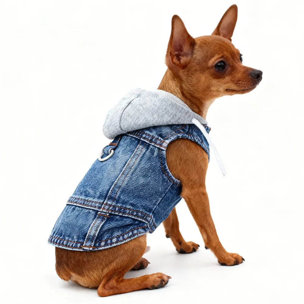 Breathable Puppy Harness Jacket with Secure D-Ring
