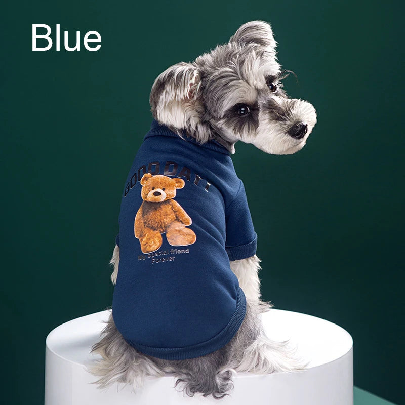 Cute Bear Winter Jacket for Dogs & Cats