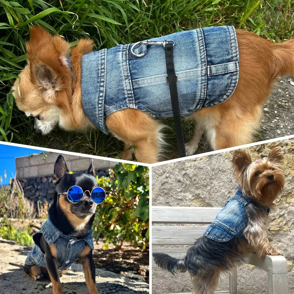 Breathable Puppy Harness Jacket with Secure D-Ring