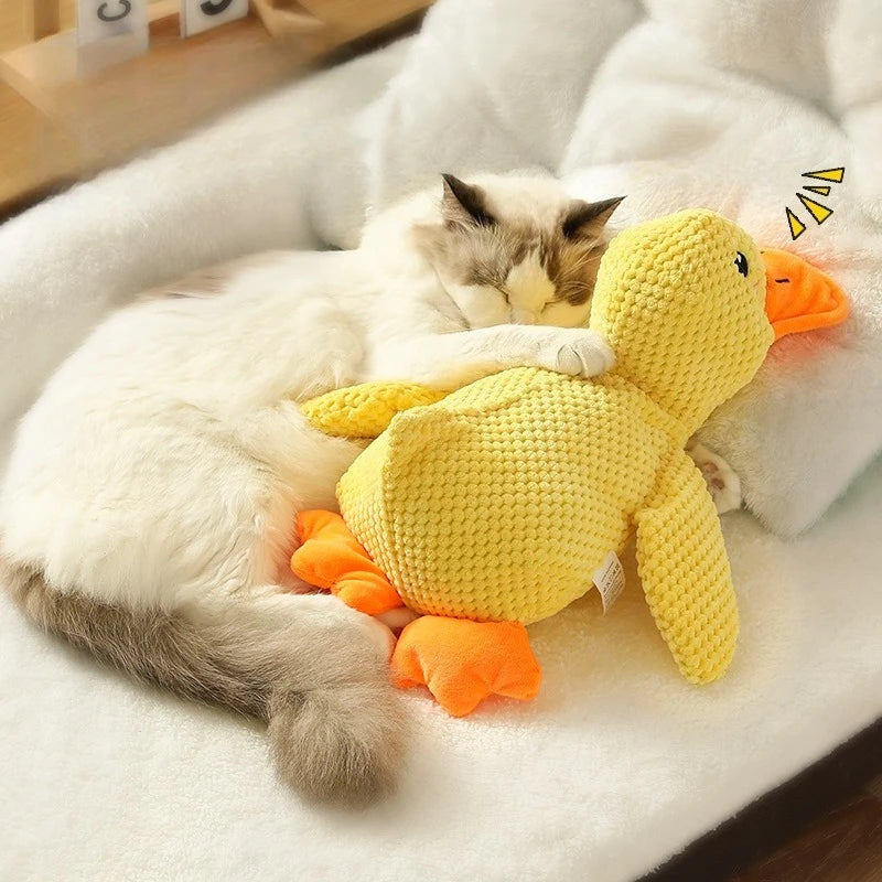 Plush Squeaky Dog Toy | Duck, Bone & Carrot Designs