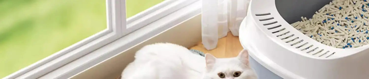 Extra Large Waterproof Cat Litter Mat ⭐