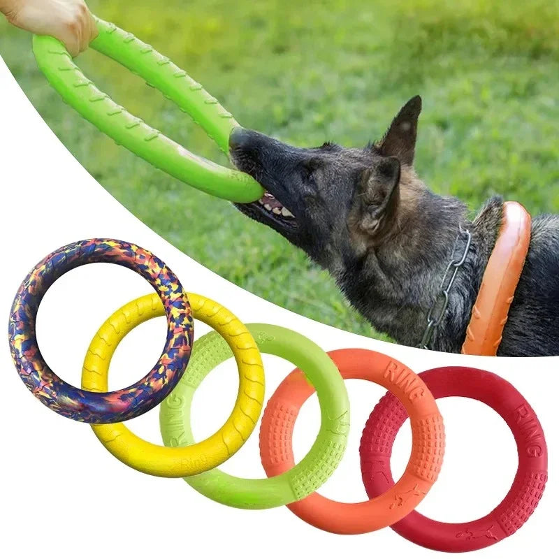 Floating Dog Training Ring ⭐
