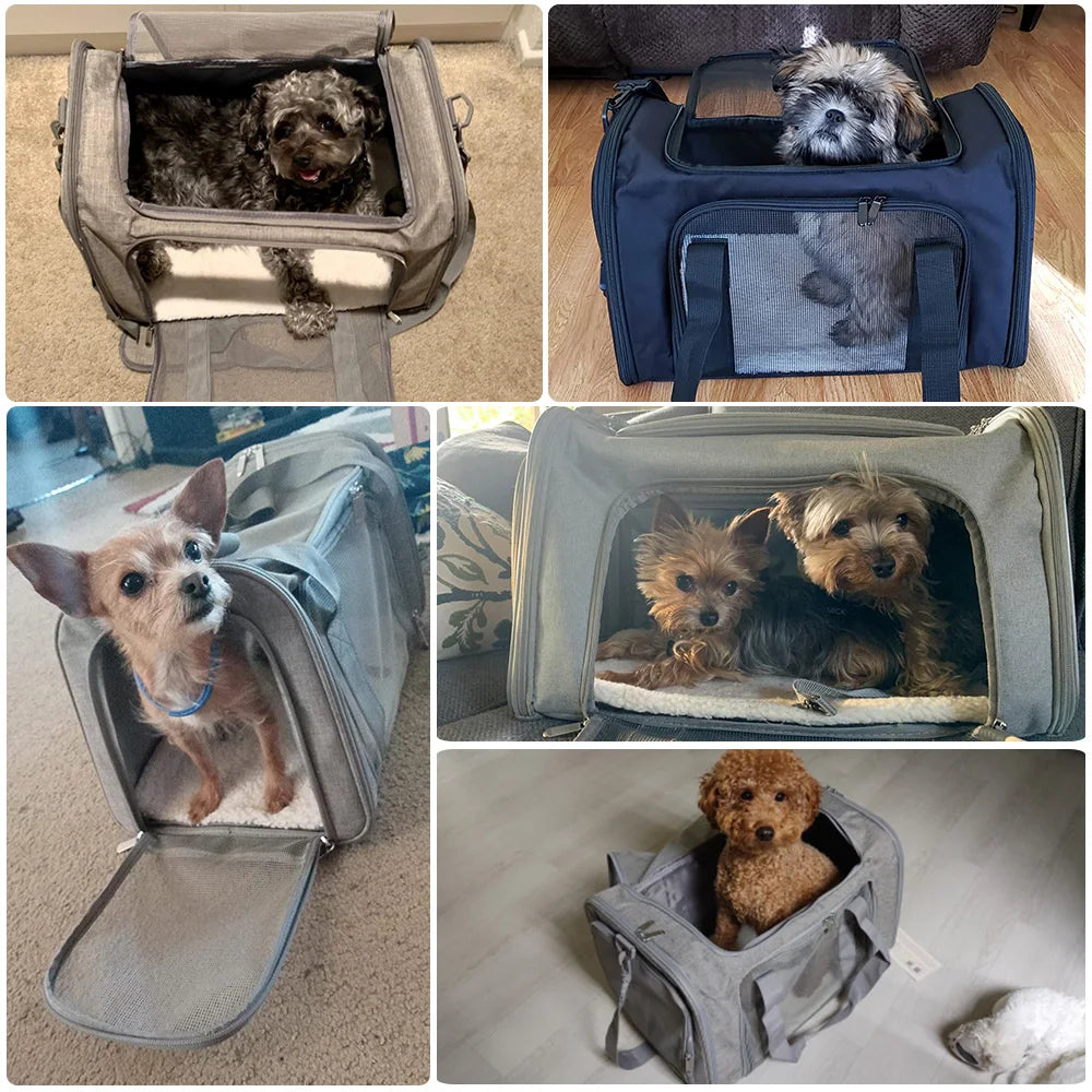 Soft-Sided Dog & Cat Travel Carrier Bag