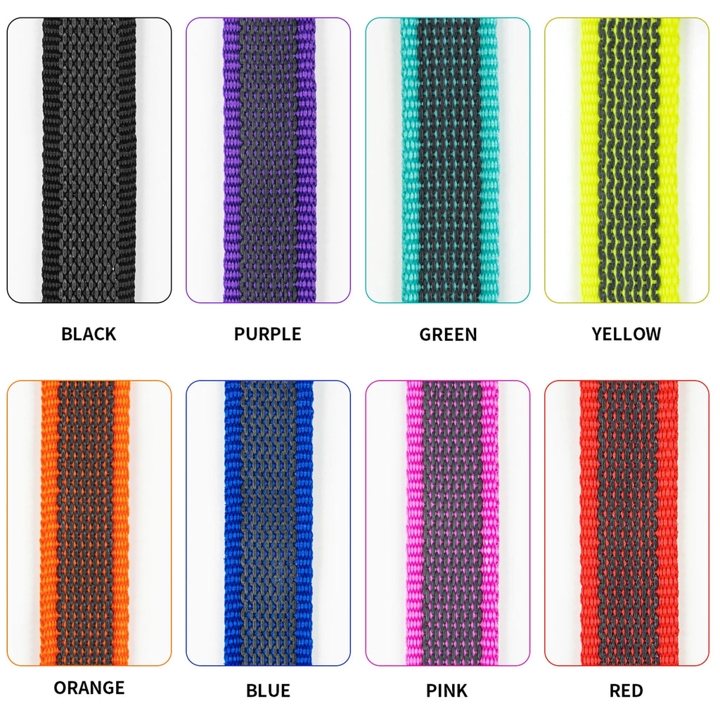 Dual-Color Long Training Dog Leash