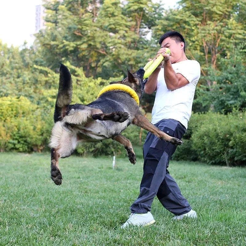 Floating Dog Training Ring ⭐