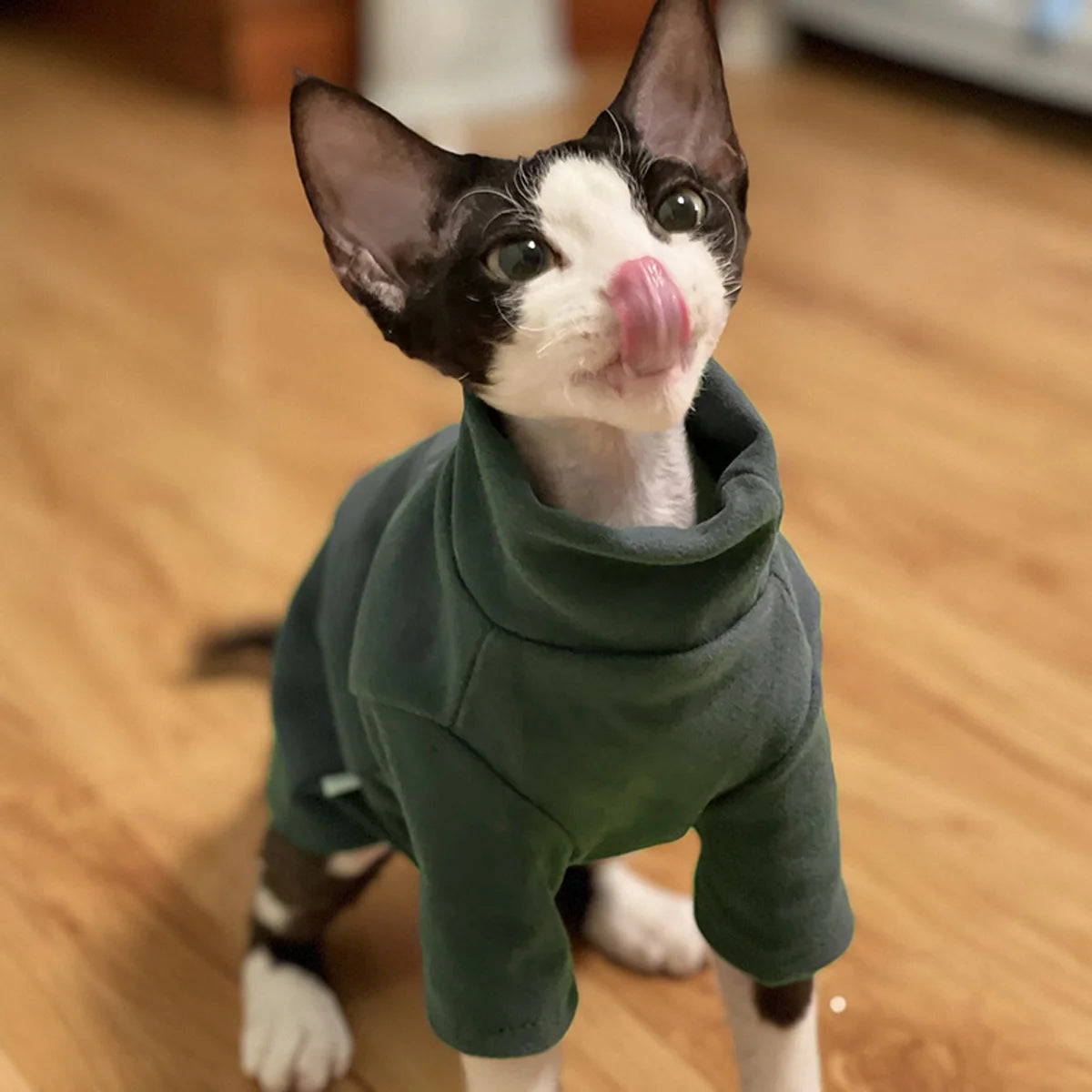 Soft Cotton Sphynx Cat Sweater